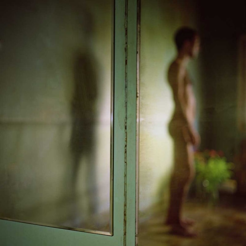 Mona Kuhn Doppelgänger, 2009