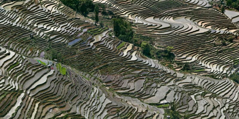 Edward Burtynsky Rice Terraces #3C, Western Yunnan Province, China, 2012