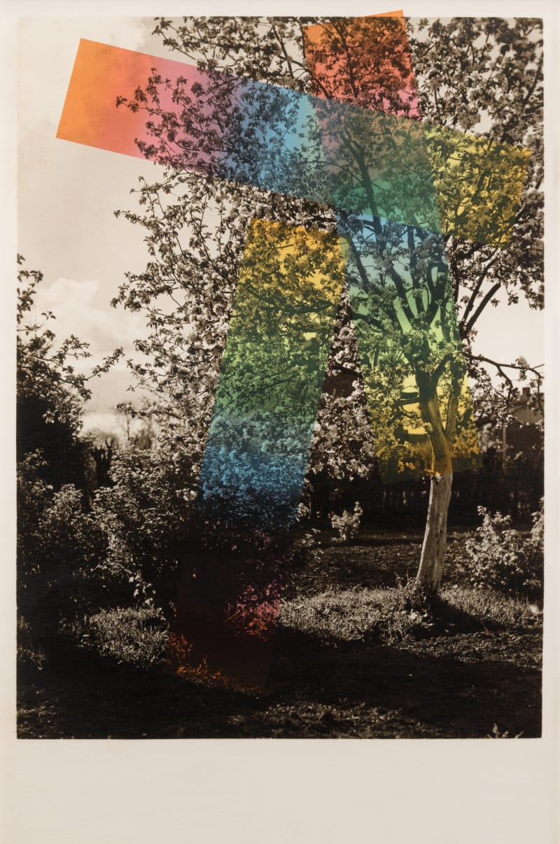 Julie Cockburn Nirvana 2, 2018