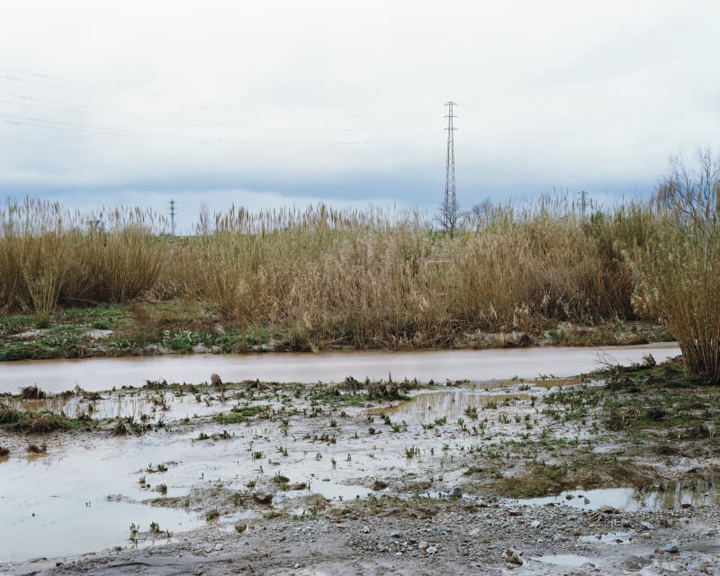 Janelle Lynch The Llobregat 6, 2008