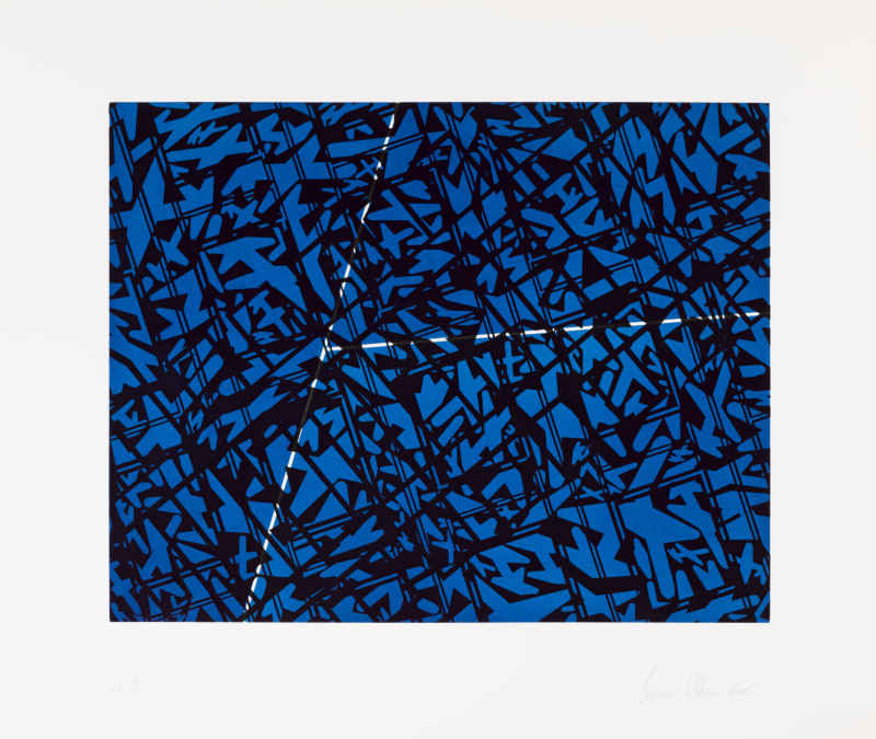 Bernard Cohen Things Seen #2, 2005