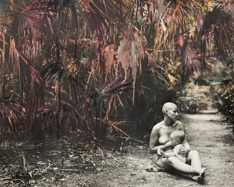 Esther Teichmann, Untitled from Fractal Scars, Salt Water and Tears, 2013