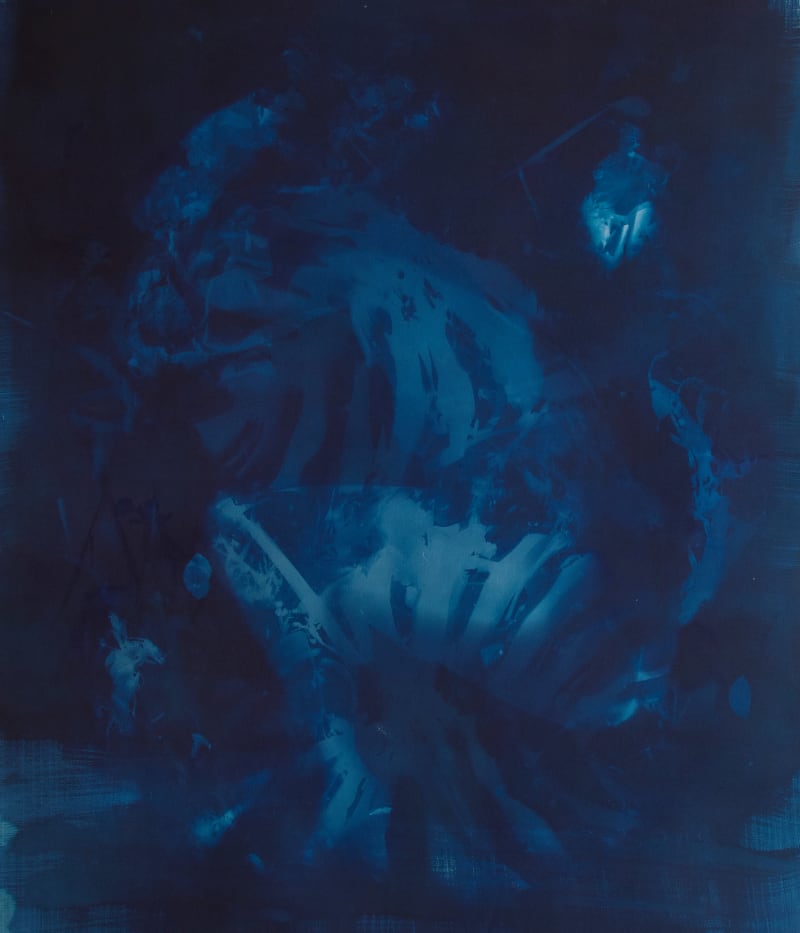 Janelle Lynch Metamorphosis IX, 2023