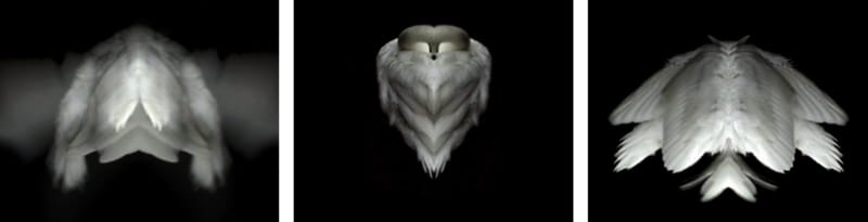 Jane Edden A Coat for Icarus, 2012