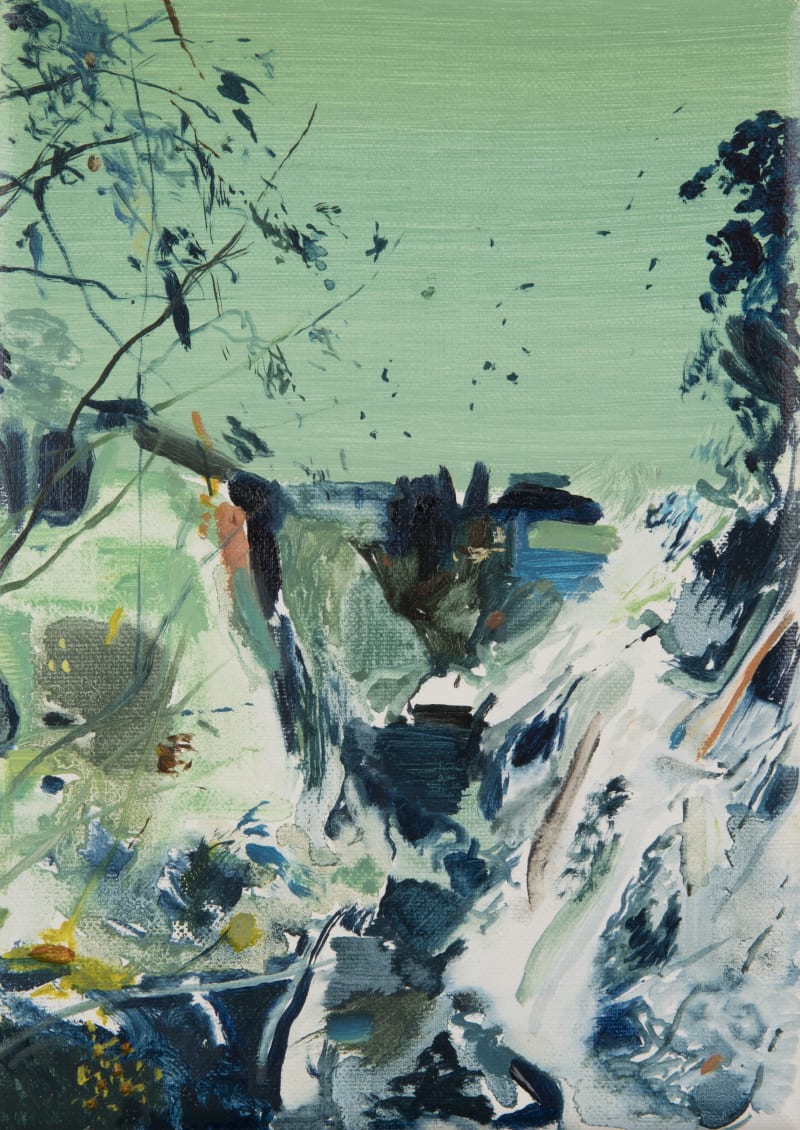 Calum McClure Leaves Over the Water, 2017