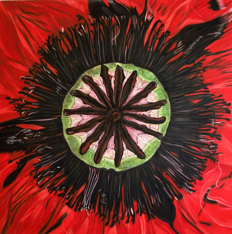 Paula Pohli The Swiss Poppy , 2020