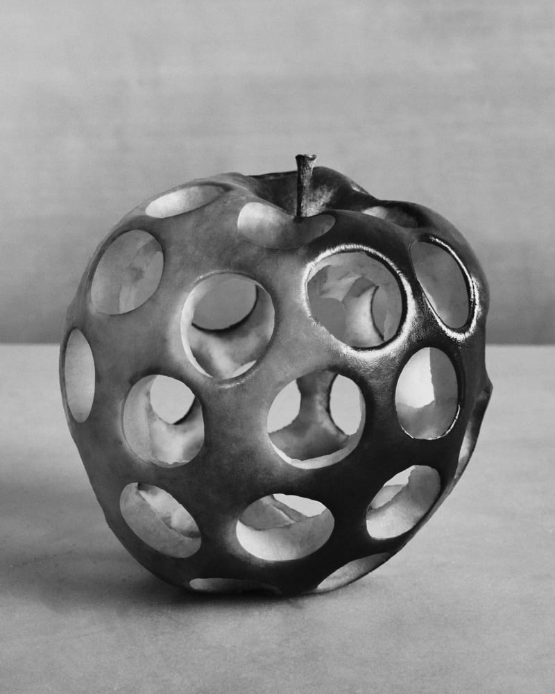 Lisa Jahovic Apple, 2023