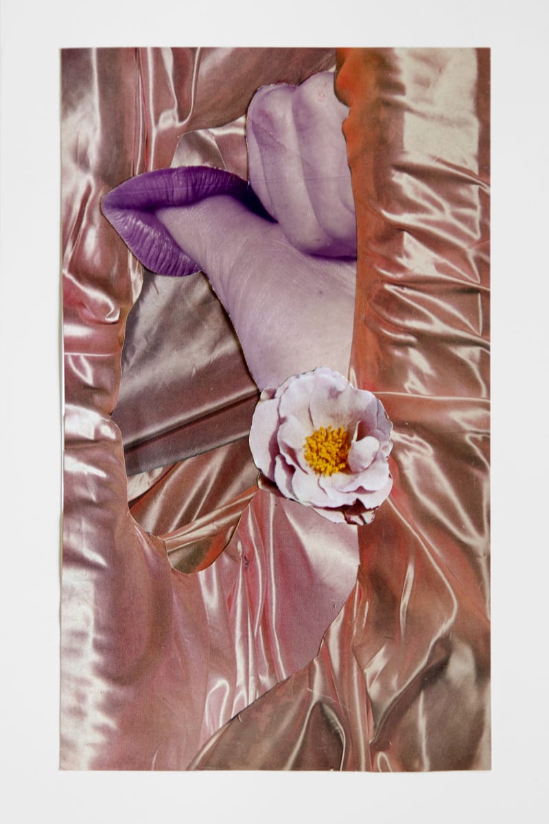 Penny Slinger My Silky, 2020