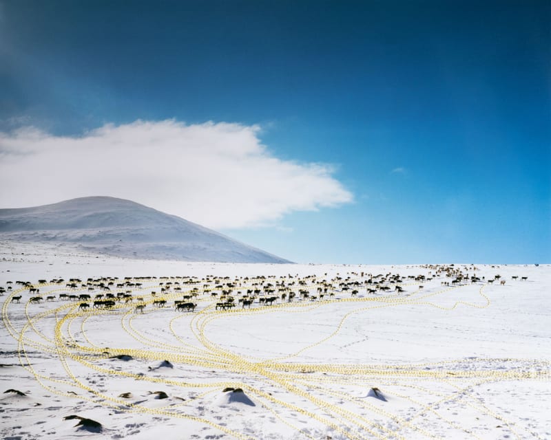 Scarlett Hooft Graafland Tracks, Norway, Engerdal, 2009-2023
