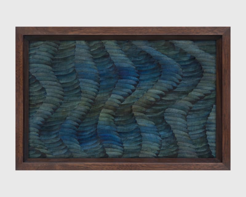 Kate MccGwire Whelm (Whorl), 2021
