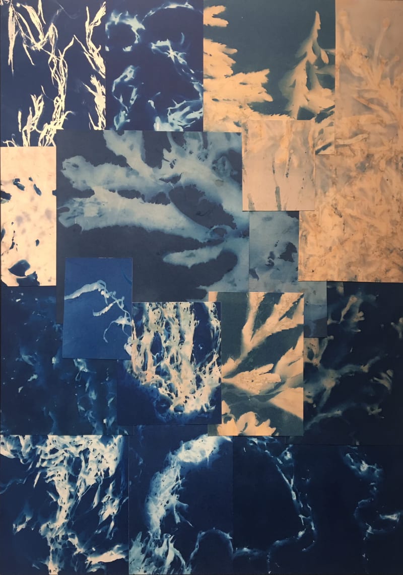 Esther Teichmann, Untitled from Heavy the Sea,, 2017