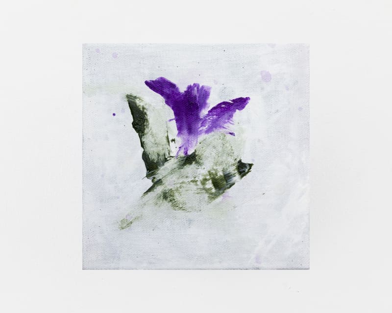 Bianca Raffaella Velvet, 2025