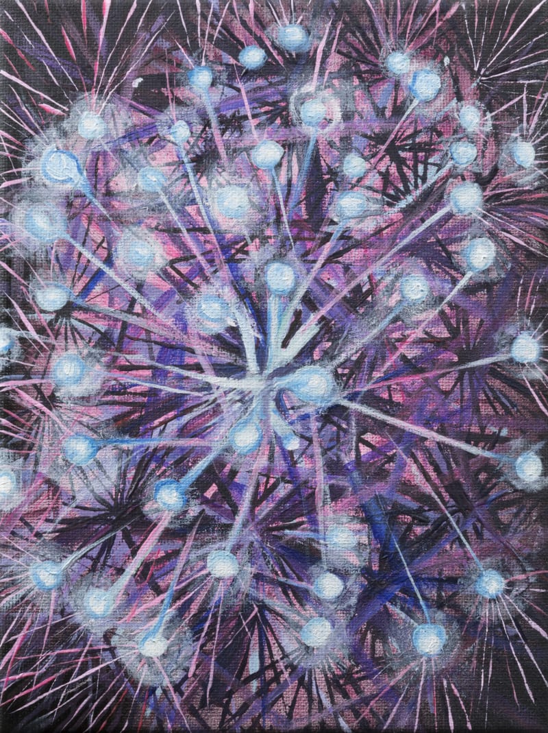 Lily Koto Olive Wish, 2017