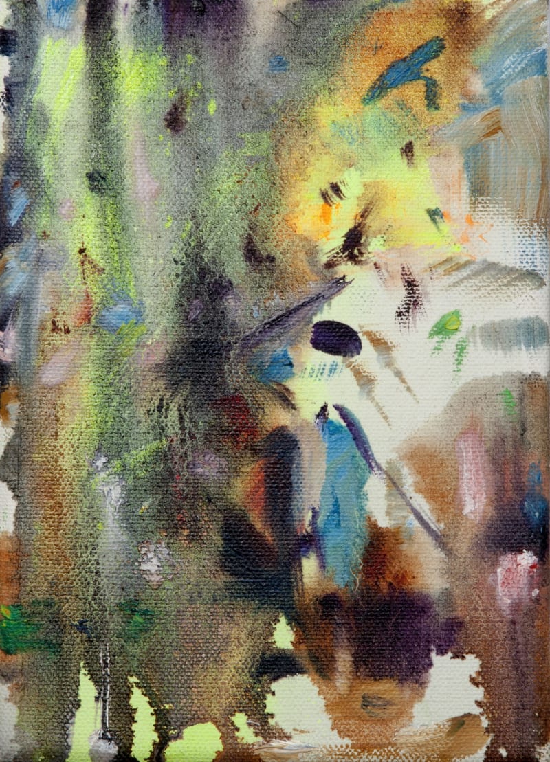 Anthony Daley Romancing a Darkstar, 2015