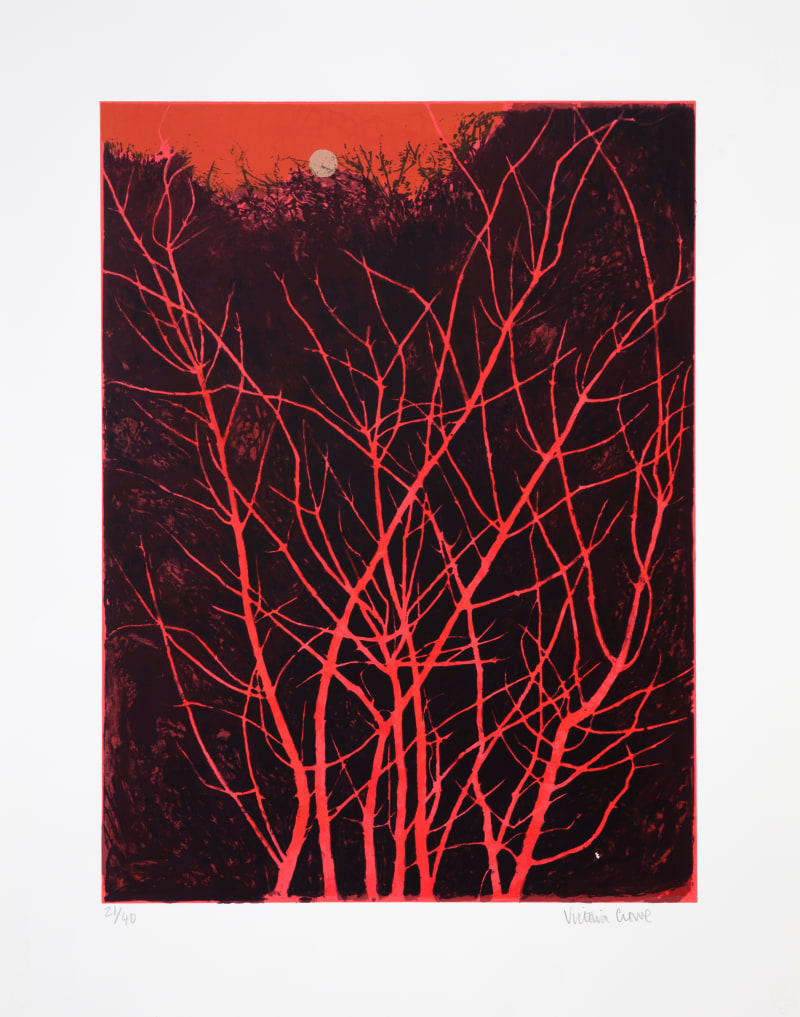 Victoria Crowe Coral Bark Maple, Wolf Moon, 2022