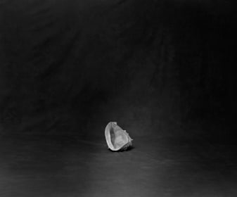 Esther Teichmann, Untitled from Heavy the Sea, 2018