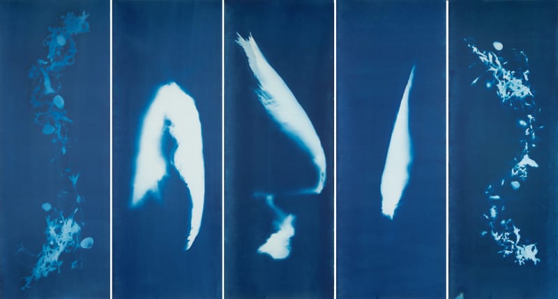 Janelle Lynch Offerings II Seal, 2023