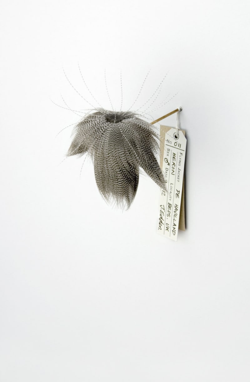 Jane Edden 11 De Havilland Heron, 2012