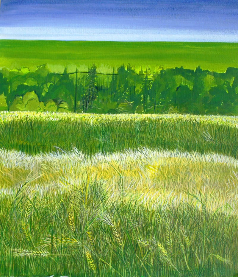 Paula Pohli Summer Gold Bunclody, 2023