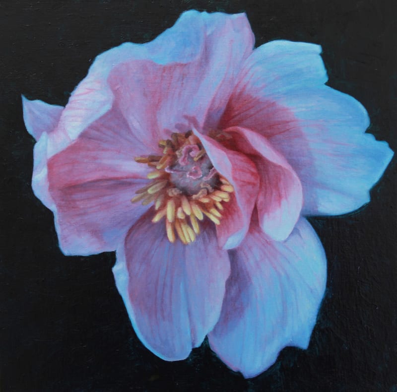 Aleah Chapin Blossom #1, 2020