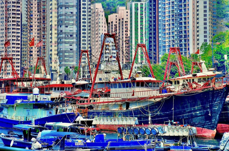 Rod Taylor Busy Harbour , 2024