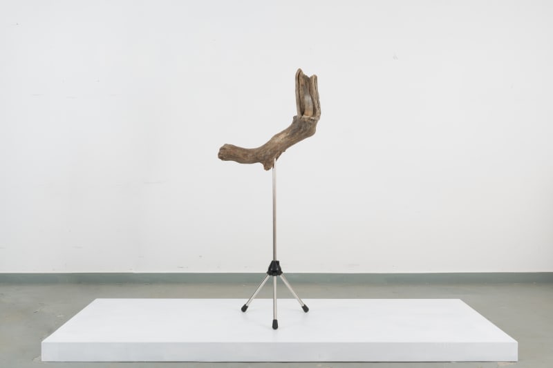 Jantsankhorol Erdenebayar One-Trick Pony, 2023