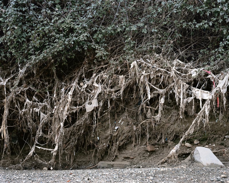 Janelle Lynch Walls 1 (Barcelona), 2011