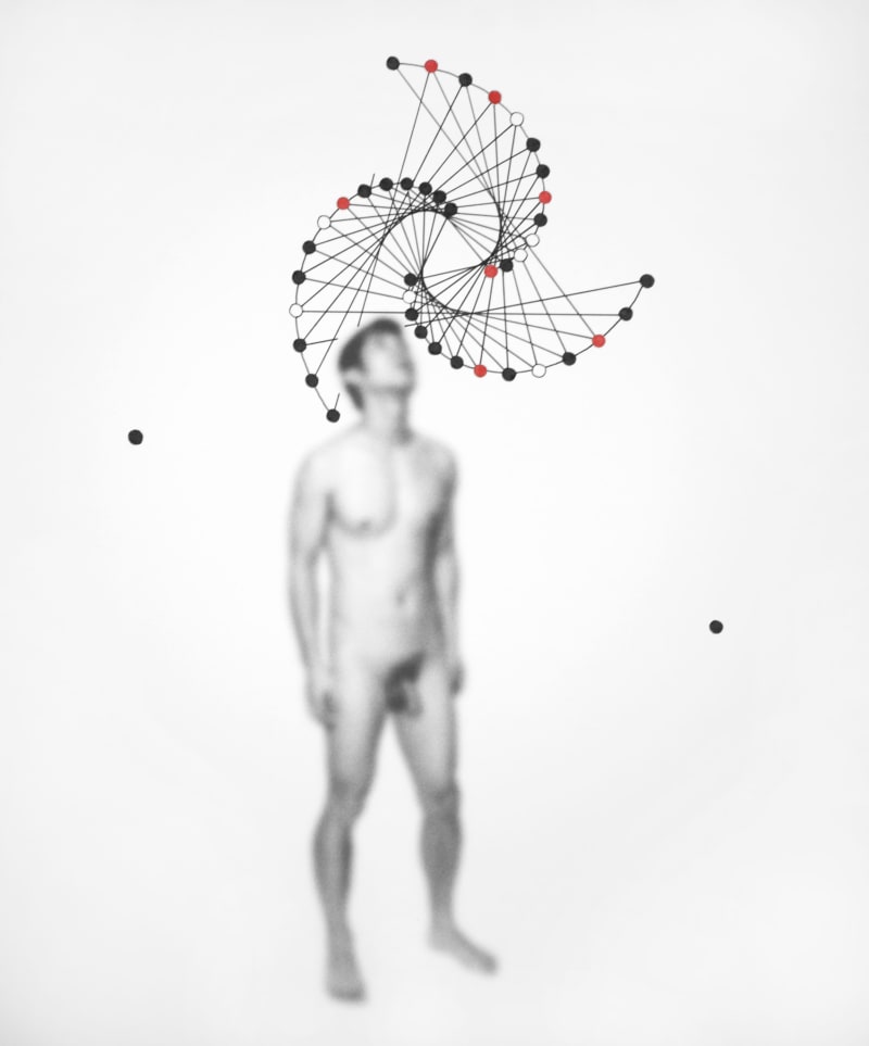 Shen Wei Star, 2013