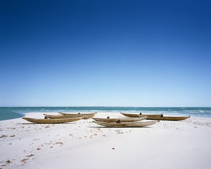Scarlett Hooft Graafland Fish, Madagascar, Belo sur Mer, 2012