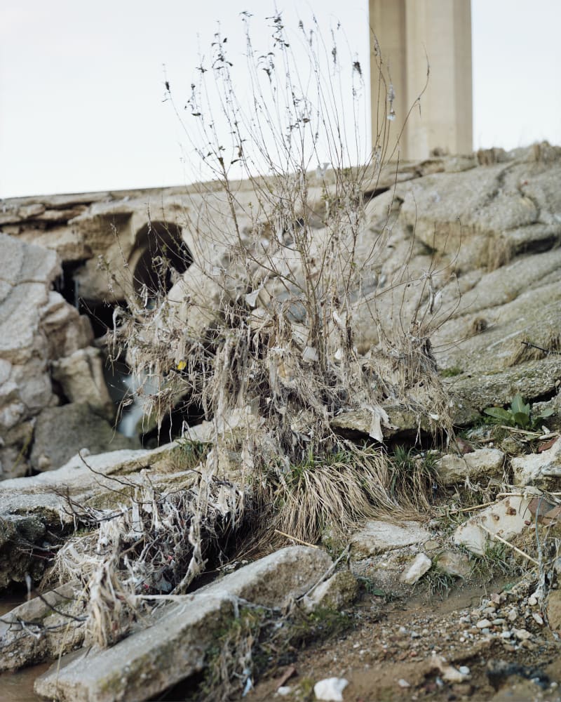 Janelle Lynch Portraits 3 (Barcelona), 2010
