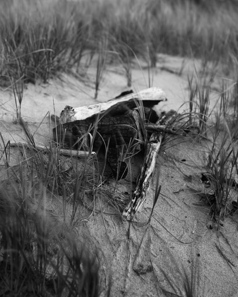 Janelle Lynch Witness II, 2022