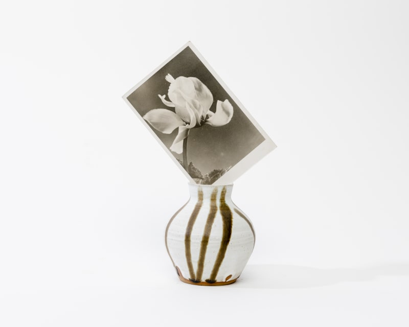 Julie Cockburn Black and White Vase (Cyclamen), 2021