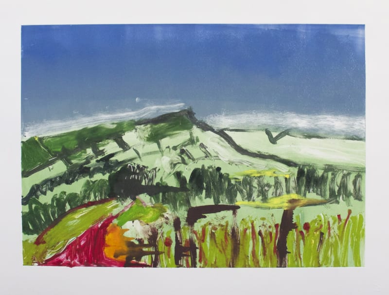 Lucy Jones The Path, 2014