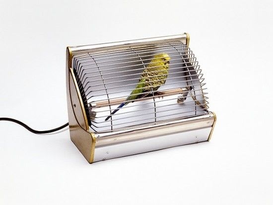 Nancy Fouts Budgie in a heater, 2010