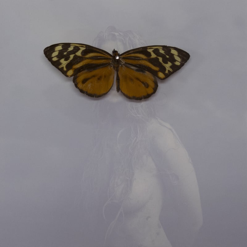 Bear Kirkpatrick Hannah, 2015