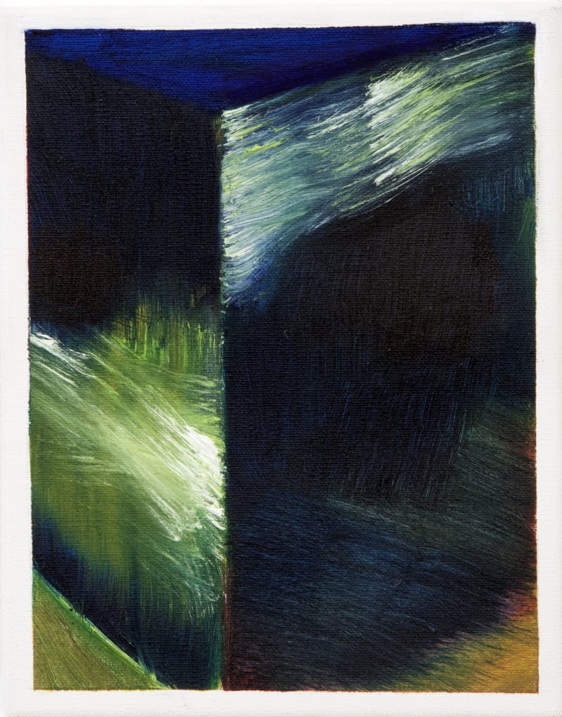 Sue Pye Back Garden II, 2012