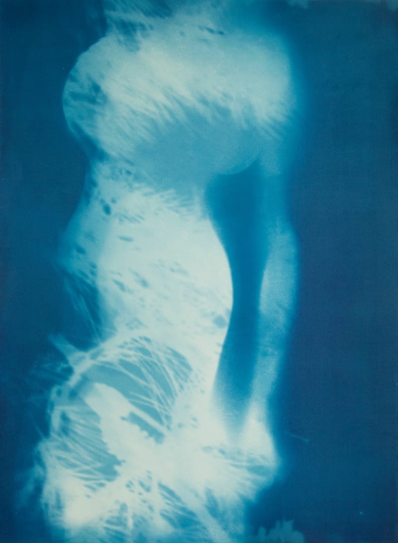 Janelle Lynch Metamorphosis I, 2022