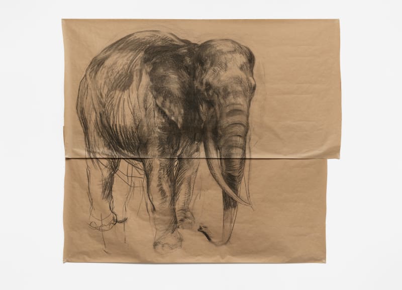 Nicola Hicks Elephant, 2019