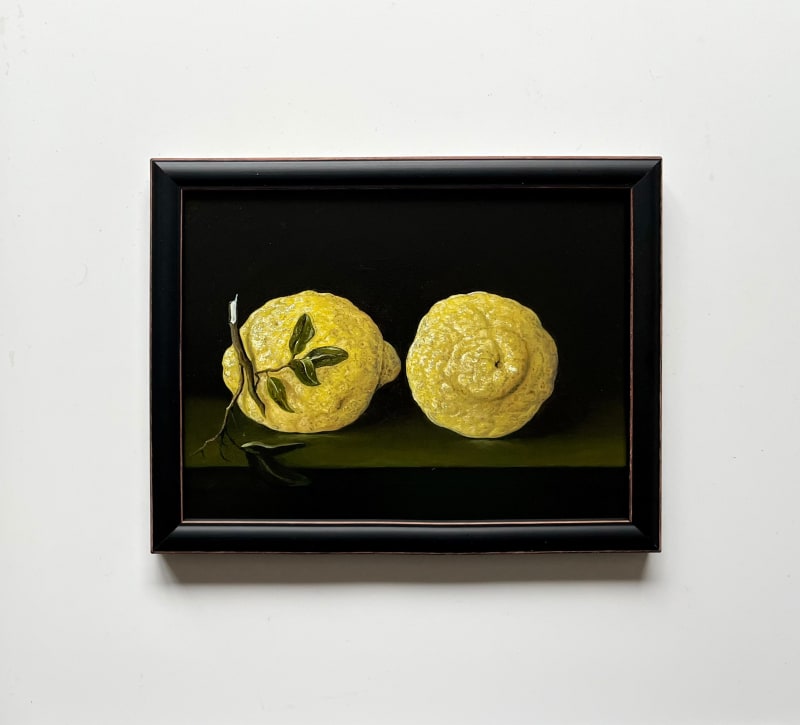 John Stark Sicilian Lemons, 2025