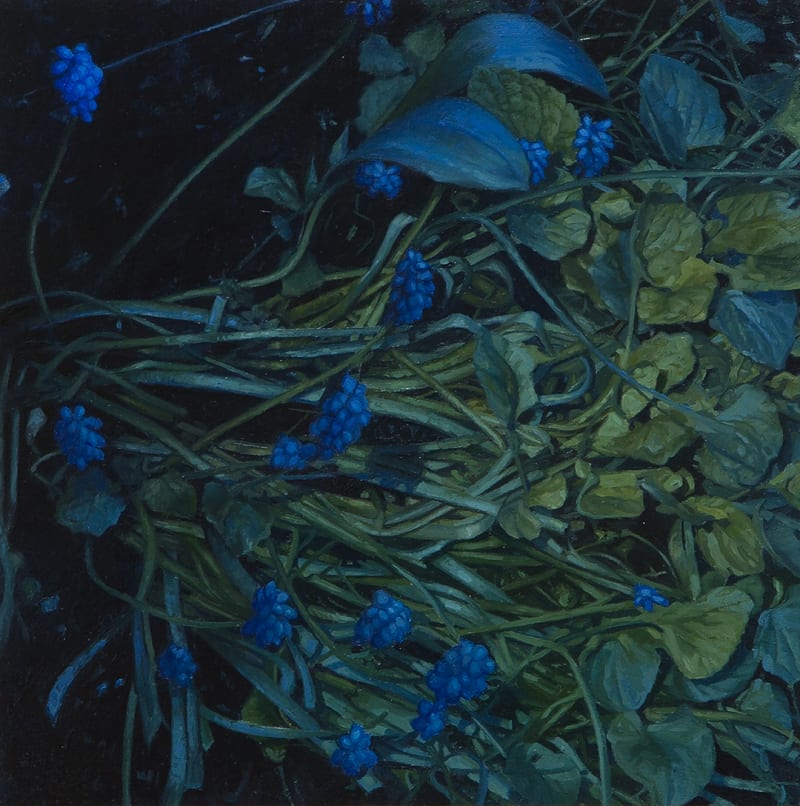 Aleah Chapin Muscari , 2017