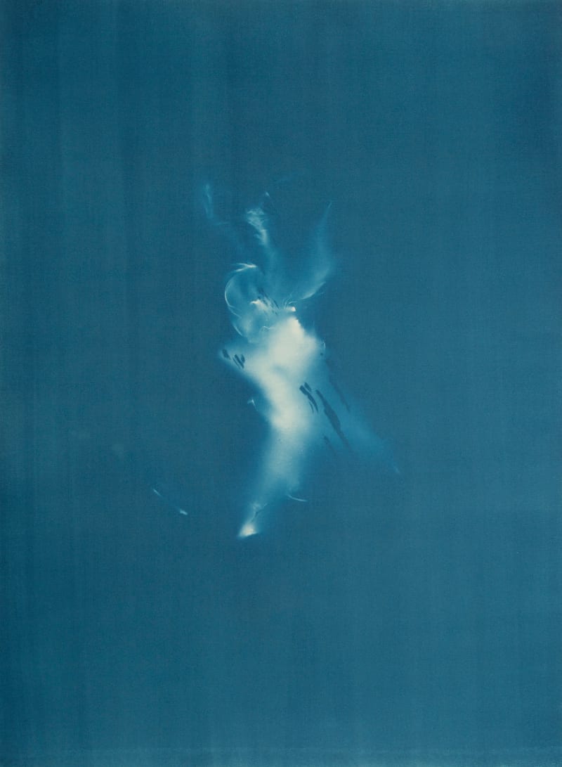 Janelle Lynch Sprite II, 2022