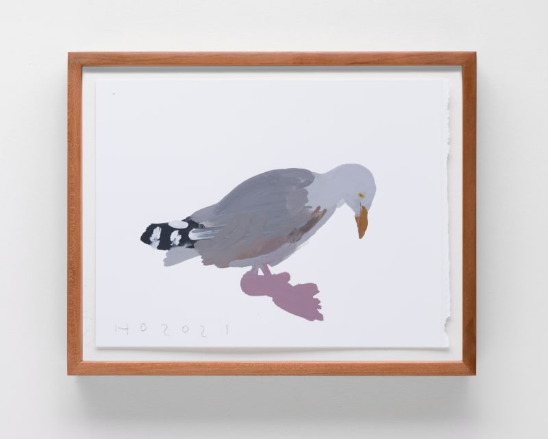 Humphrey Ocean Herring Gull, 2021