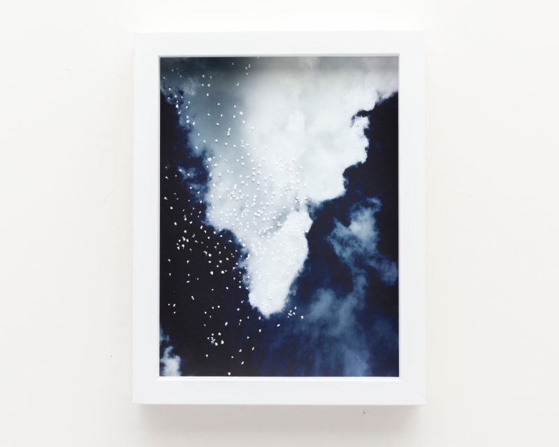 Tabitha Soren Gates of Paradise, 2022