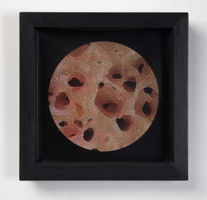 Peter Ellis Crumpits II, 2015