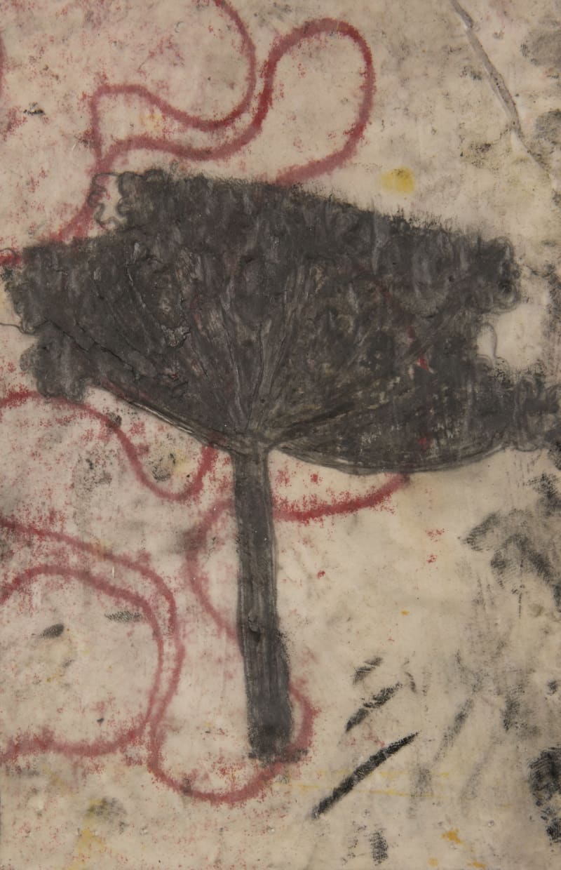 Philippa Stjernsward Fragment, 2016-17