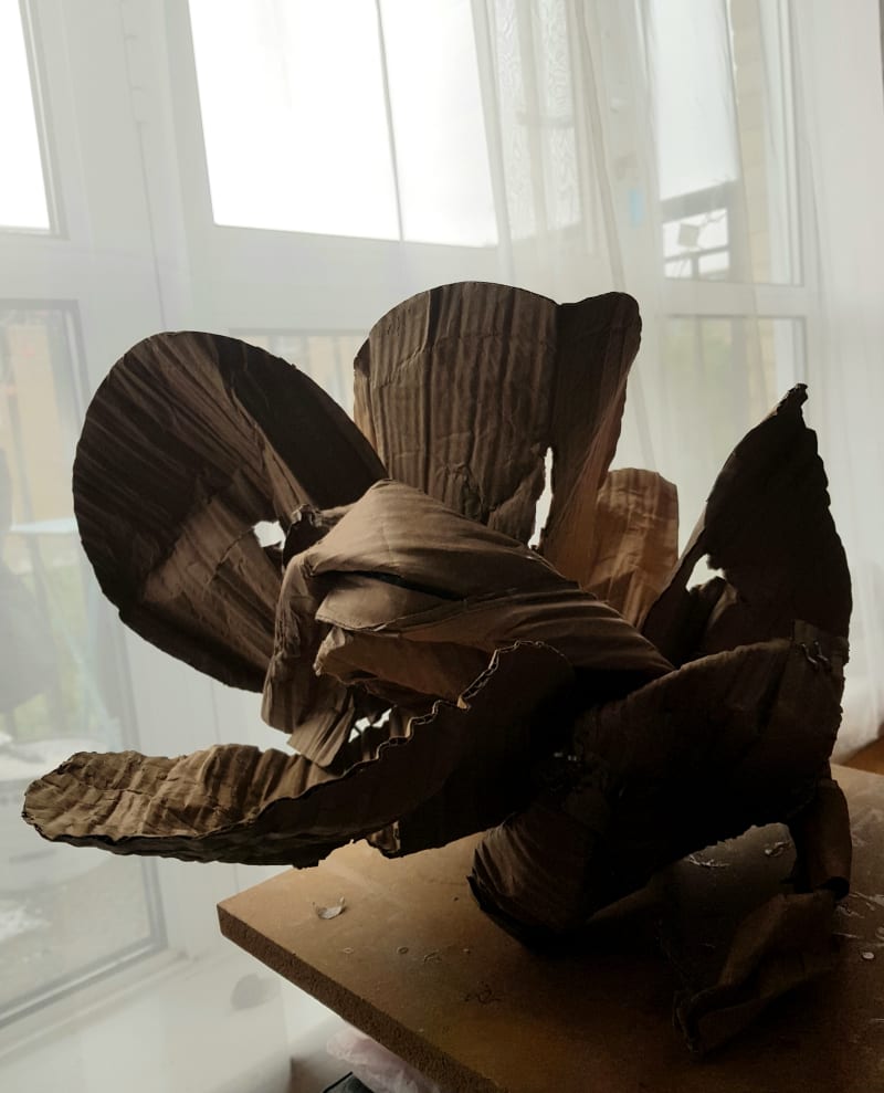 John Bunker Krypto 4, 2024