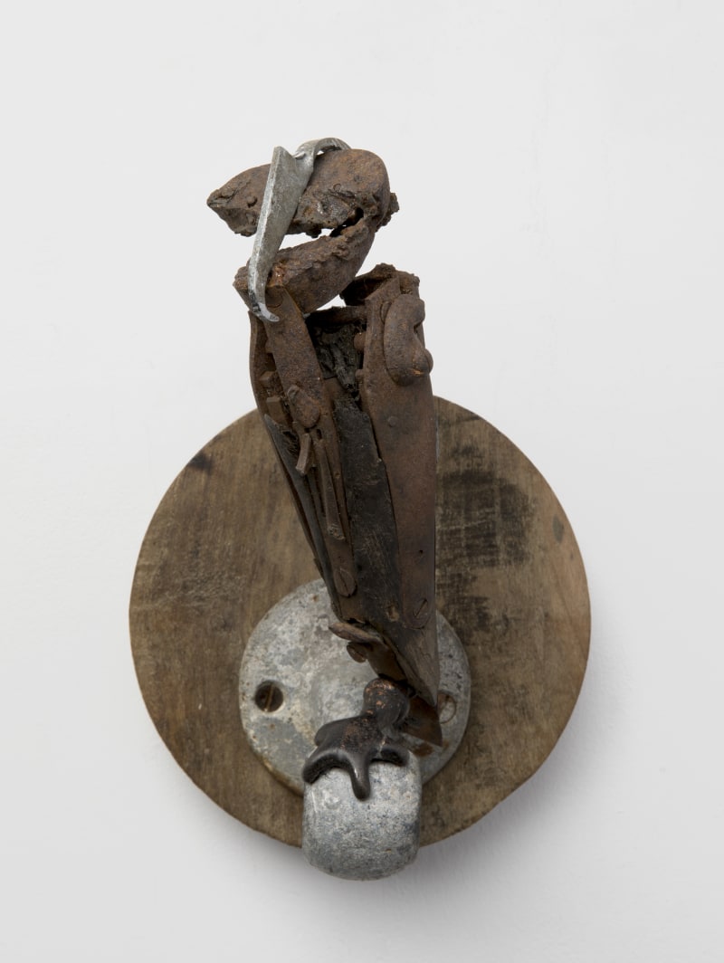 Emily Mayer Glaucidium chalybeius, 2017