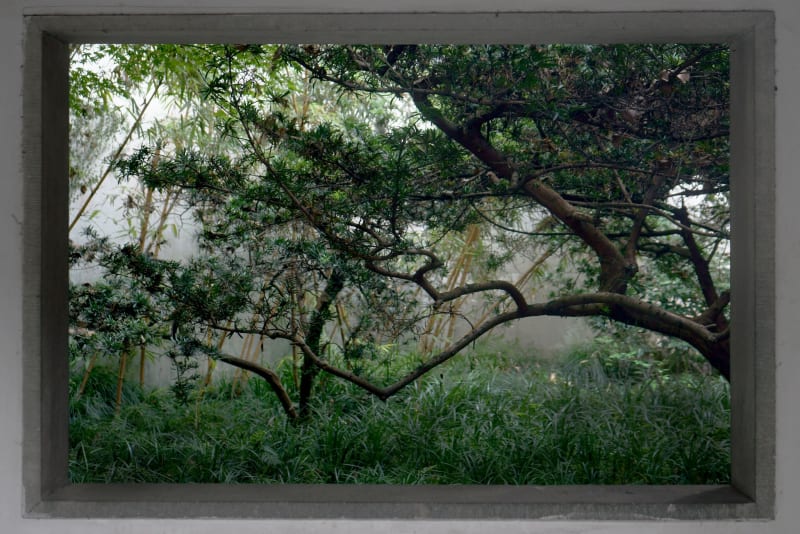 Shen Wei Window, 2015