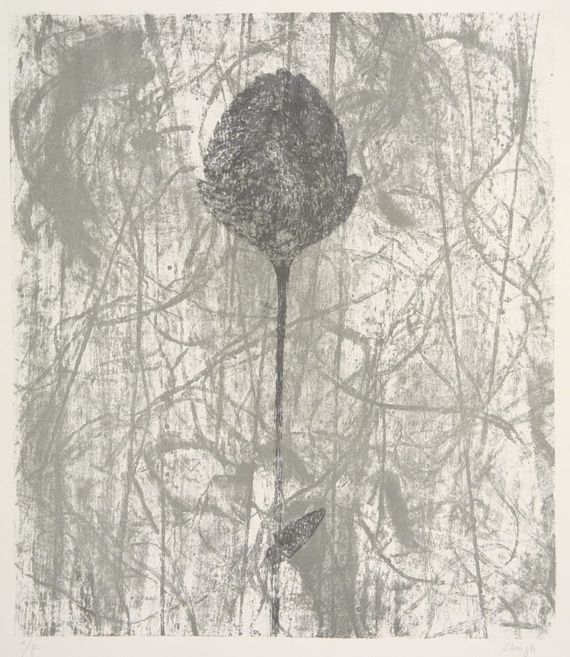 Prunella Clough Black Peony (Paper Flower), 1984