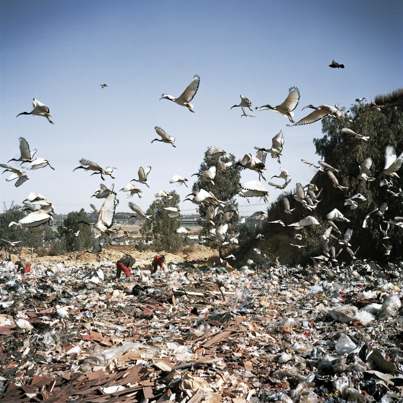 Jason Larkin, Commercial Rubbish Dump, City Deep, Johannesburg, 2010